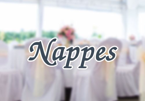 location-nappe-de-reception